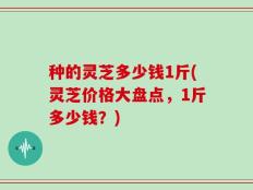 种的灵芝多少钱1斤(灵芝价格大盘点，1斤多少钱？)