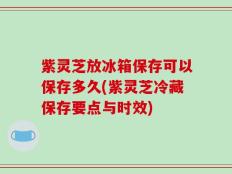 紫灵芝放冰箱保存可以保存多久(紫灵芝冷藏保存要点与时效)