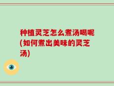 种植灵芝怎么煮汤喝呢(如何煮出美味的灵芝汤)