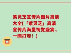 紫灵芝宣传片图片高清大全(「紫灵芝」高清宣传片海量视觉盛宴，一网打尽！)