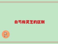 白芍和灵芝的区别