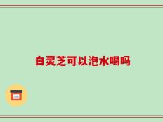 白灵芝可以泡水喝吗