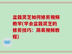 盆栽灵芝如何修剪视频教学(学会盆栽灵芝的修剪技巧：简易视频教程)