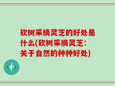 砍树采摘灵芝的好处是什么(砍树采摘灵芝：关于自然的种种好处)