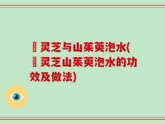 焄灵芝与山茱萸泡水(焄灵芝山茱萸泡水的功效及做法)