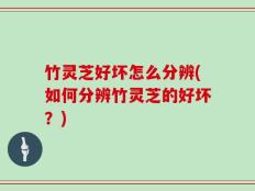 竹灵芝好坏怎么分辨(如何分辨竹灵芝的好坏？)