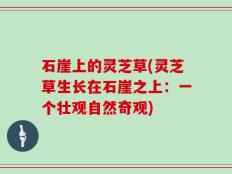 石崖上的灵芝草(灵芝草生长在石崖之上：一个壮观自然奇观)