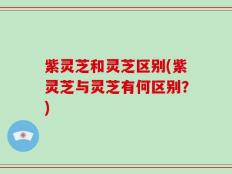 紫灵芝和灵芝区别(紫灵芝与灵芝有何区别？)