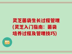 灵芝菌袋生长过程管理(灵芝入门指南：菌袋培养过程及管理技巧)