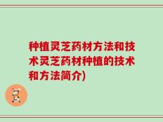 种植灵芝药材方法和技术灵芝药材种植的技术和方法简介)