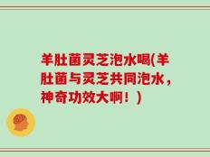 羊肚菌灵芝泡水喝(羊肚菌与灵芝共同泡水，神奇功效大啊！)