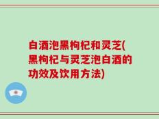 白酒泡黑枸杞和灵芝(黑枸杞与灵芝泡白酒的功效及饮用方法)