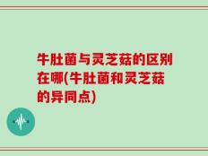 牛肚菌与灵芝菇的区别在哪(牛肚菌和灵芝菇的异同点)