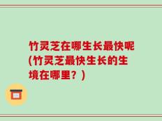 竹灵芝在哪生长最快呢(竹灵芝最快生长的生境在哪里？)