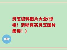 灵芝资料图片大全(惊艳！清晰真实灵芝图片集锦！)
