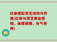 红参搭配灵芝功效与作用(红参与灵芝黄金搭档，体质调理，补气养神)