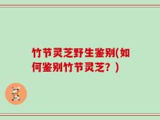 竹节灵芝野生鉴别(如何鉴别竹节灵芝？)