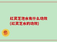 红灵芝泡水有什么功效(红灵芝水的功效)