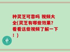种灵芝可靠吗 视频大全(灵芝有哪些效果？看看这些视频了解一下！)