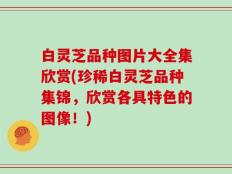 白灵芝品种图片大全集欣赏(珍稀白灵芝品种集锦，欣赏各具特色的图像！)