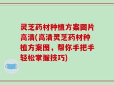 灵芝药材种植方案图片高清(高清灵芝药材种植方案图，帮你手把手轻松掌握技巧)