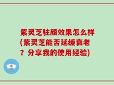 紫灵芝驻颜效果怎么样(紫灵芝能否延缓衰老？分享我的使用经验)