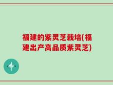 福建的紫灵芝栽培(福建出产高品质紫灵芝)