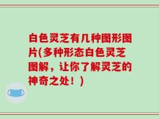 白色灵芝有几种图形图片(多种形态白色灵芝图解，让你了解灵芝的神奇之处！)
