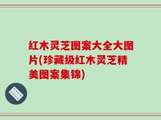 红木灵芝图案大全大图片(珍藏级红木灵芝精美图案集锦)