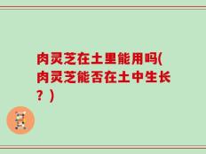 肉灵芝在土里能用吗(肉灵芝能否在土中生长？)