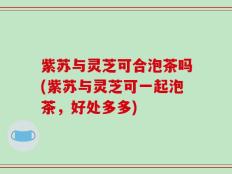 紫苏与灵芝可合泡茶吗(紫苏与灵芝可一起泡茶，好处多多)
