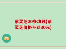 紫灵芝20多块钱(紫灵芝价格不到30元)