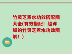 竹灵芝煮水功效搭配图大全(有效搭配！超详细的竹灵芝煮水功效图解！)