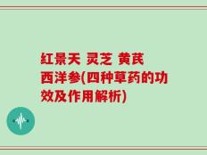 红景天 灵芝 黄芪 西洋参(四种草药的功效及作用解析)