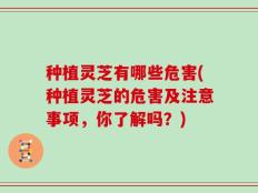 种植灵芝有哪些危害(种植灵芝的危害及注意事项，你了解吗？)
