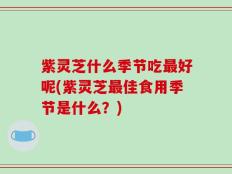 紫灵芝什么季节吃最好呢(紫灵芝最佳食用季节是什么？)