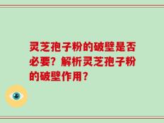 灵芝孢子粉的破壁是否必要？解析灵芝孢子粉的破壁作用？