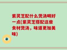 紫灵芝配什么煲汤喝好一点(紫灵芝搭配这些食材煲汤，味道更加美味)