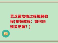灵芝菌培植过程视频教程(视频教程：如何培植灵芝菌？)