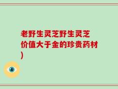 老野生灵芝野生灵芝 价值大于金的珍贵药材)
