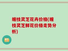 缠枝灵芝花卉价格(缠枝灵芝鲜花价格走势分析)