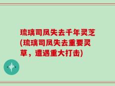 琉璃司凤失去千年灵芝(琉璃司凤失去重要灵草，遭遇重大打击)