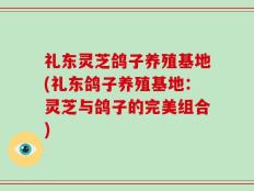 礼东灵芝鸽子养殖基地(礼东鸽子养殖基地：灵芝与鸽子的完美组合)
