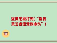盗灵芝被打死(“盗伐灵芝者遭受致命伤”)