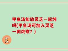 甲鱼汤能放灵芝一起炖吗(甲鱼汤可加入灵芝一同炖煮？)