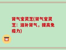 肾气宝灵芝(肾气宝灵芝：滋补肾气，提高免疫力)