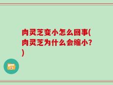 肉灵芝变小怎么回事(肉灵芝为什么会缩小？)
