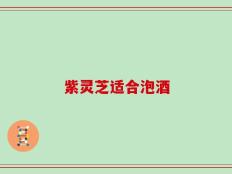 紫灵芝适合泡酒