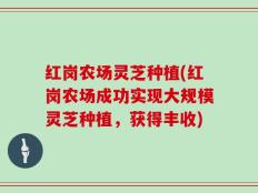红岗农场灵芝种植(红岗农场成功实现大规模灵芝种植，获得丰收)