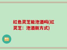 红色灵芝能泡酒吗(红灵芝：泡酒新方式)